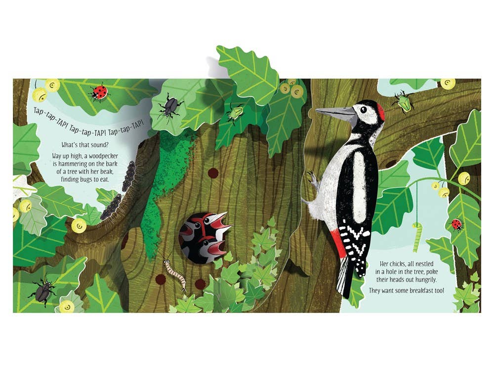 Pop-Up Nature : Usborne
