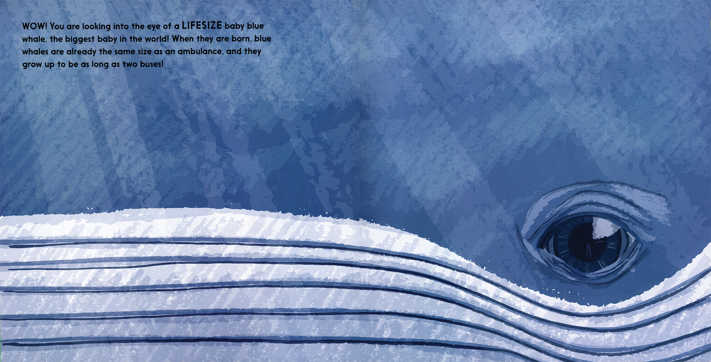 Lifesize Baby Animals