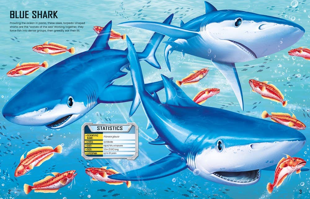 Build Your Own Sharks : Usborne