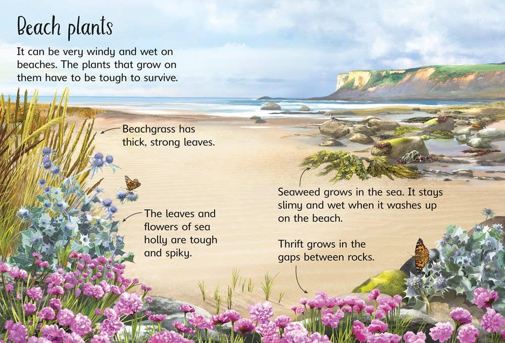 On the Beach : Usborne Beginners