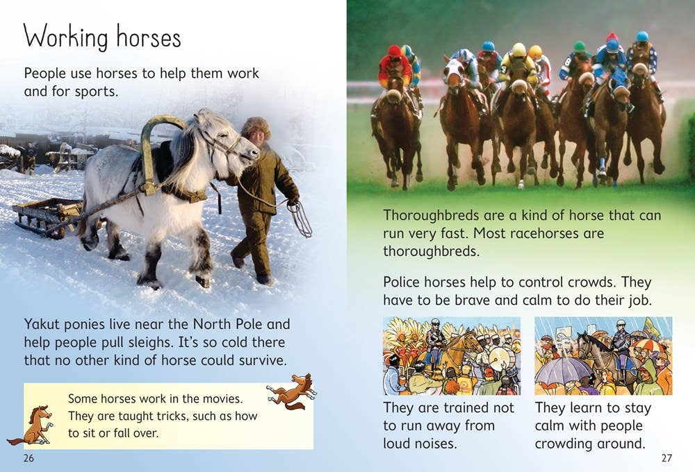 Horses And Ponies : Usborne