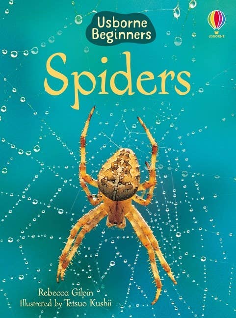 Spiders : Usborne Beginners