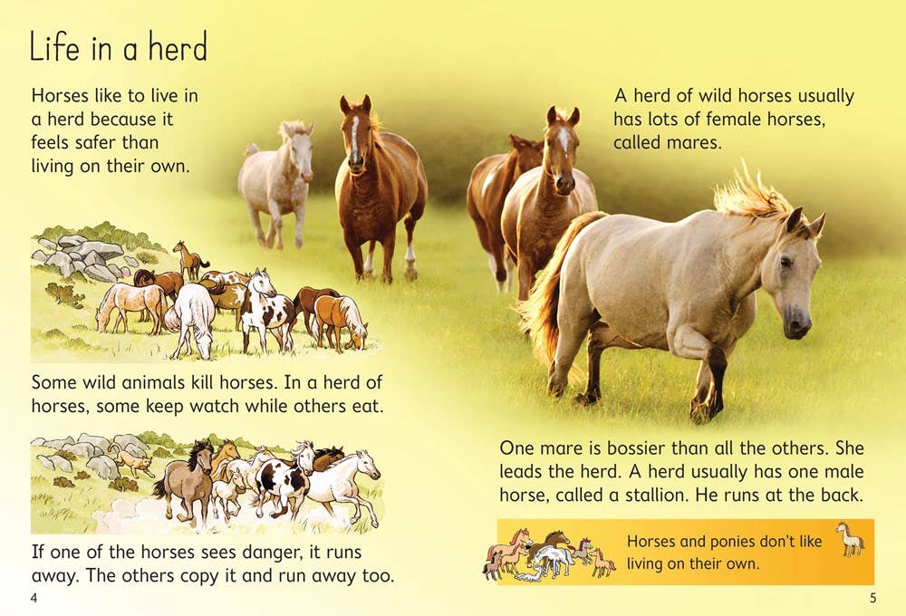 Horses And Ponies : Usborne