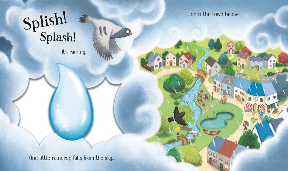 One Little Raindrop board book : Usborne