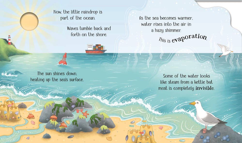 One Little Raindrop board book : Usborne