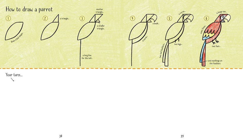 Step-By-Step Drawing Animals : Usborne