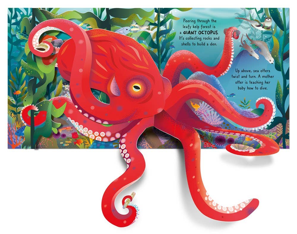 Pop-up Ocean : Usborne