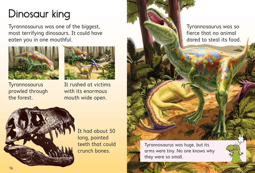 Dinosaurs : Usborne