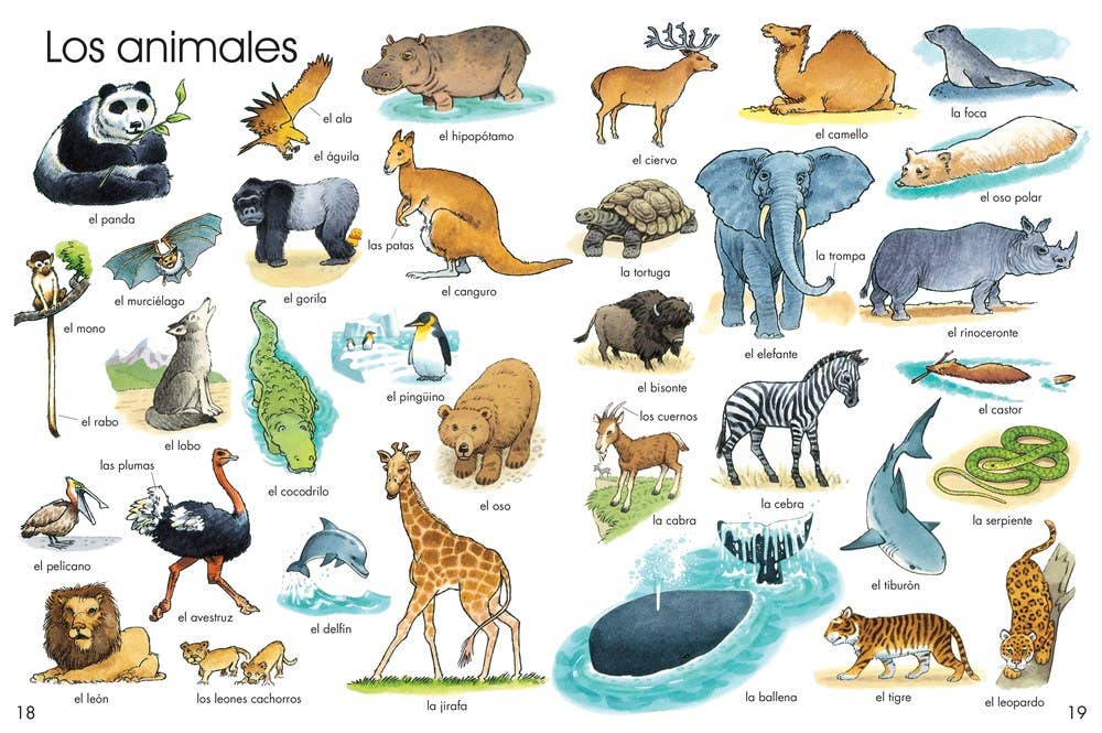 First Thousand Words In Spanish : Usborne