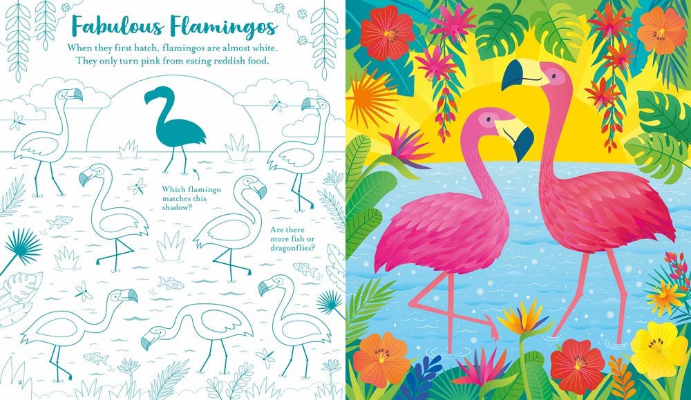 Usborne Scratch Activities Animals : Usborne