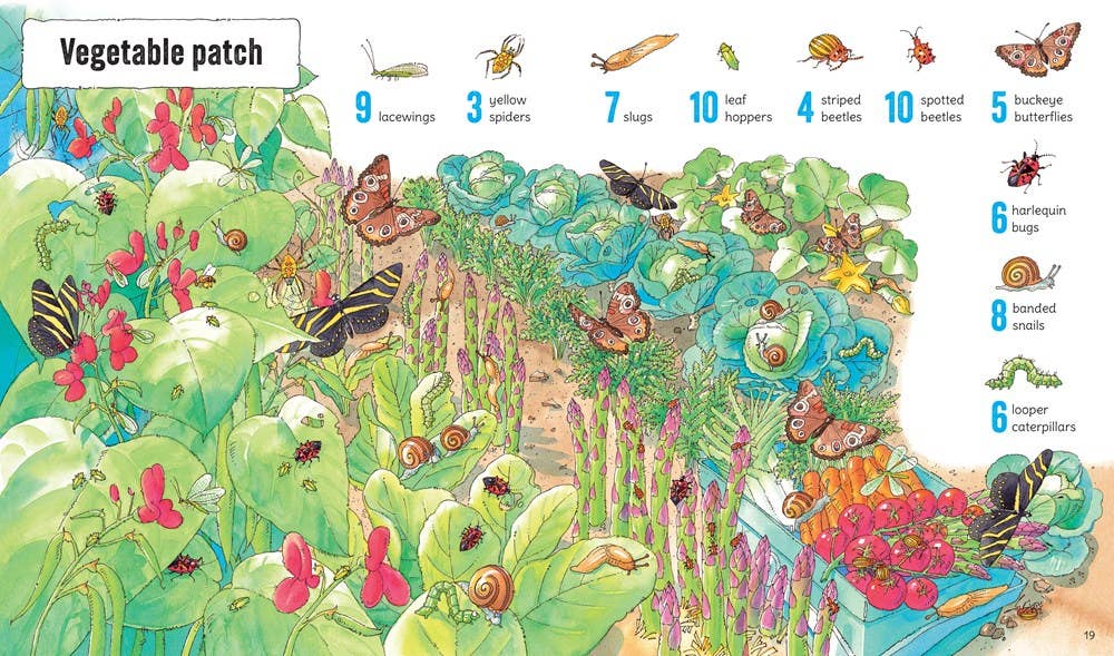 1001 Bugs To Spot : Usborne