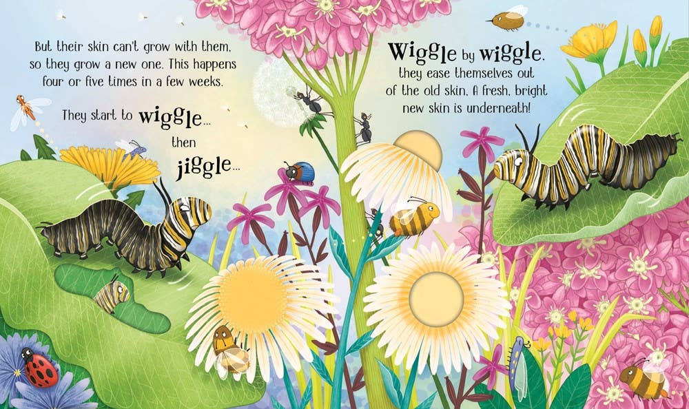 One Little Butterfly board book : Usborne