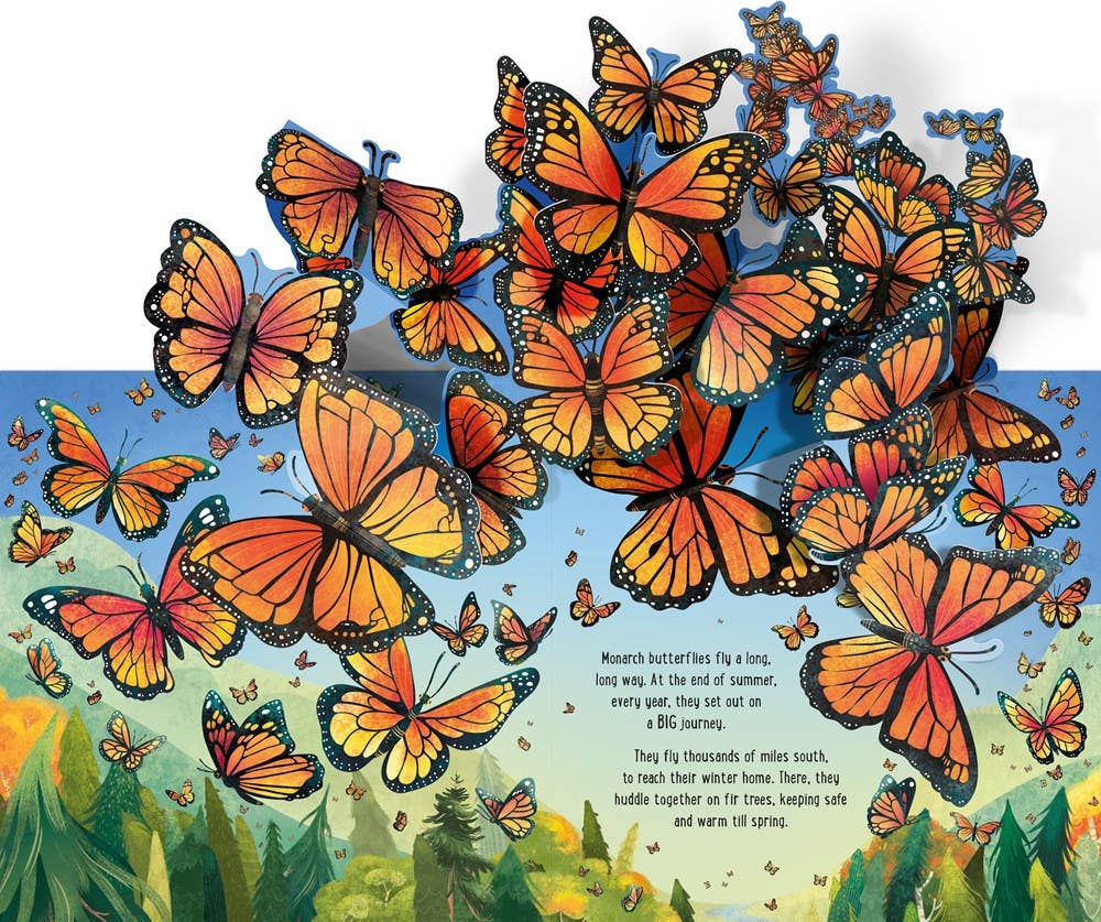 Pop-Up Butterflies: Laura Cowan