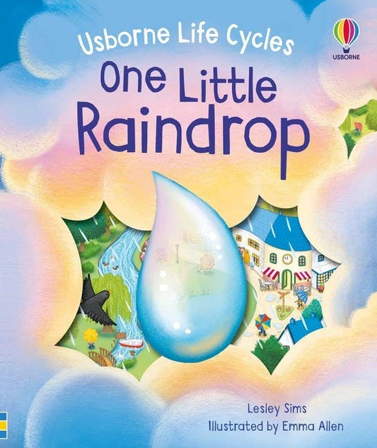 One Little Raindrop board book : Usborne