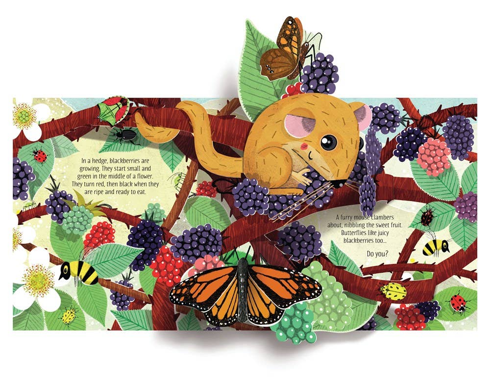 Pop-Up Nature : Usborne