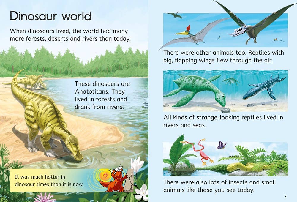 Dinosaurs : Usborne