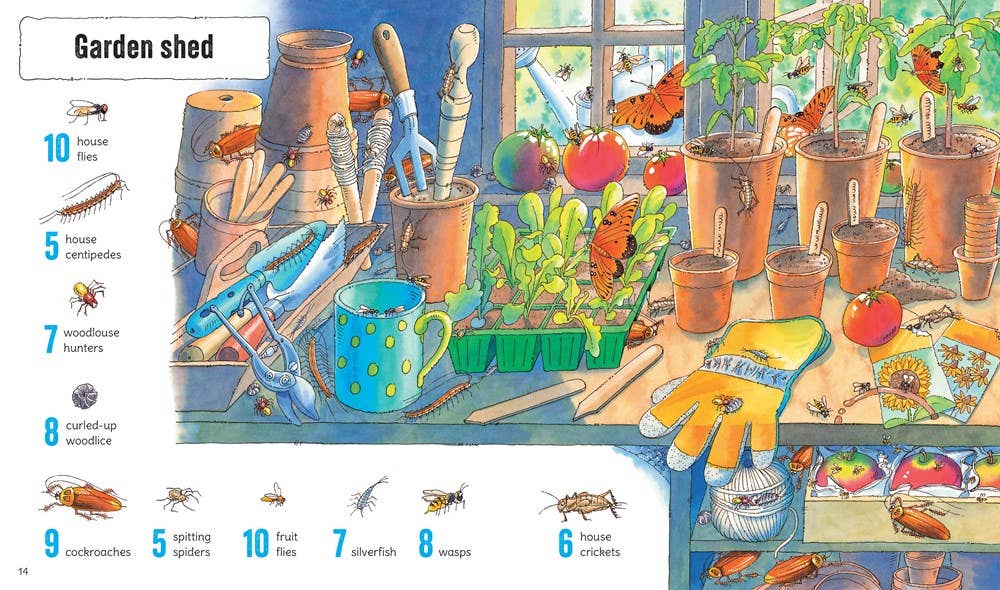 1001 Bugs To Spot : Usborne