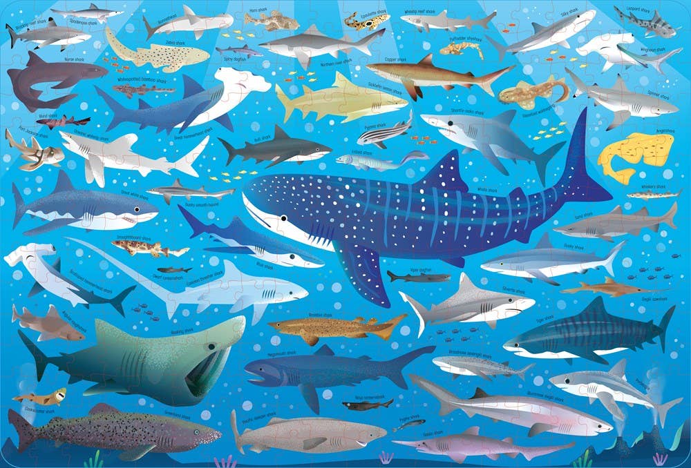 Usborne Book and Jigsaw: Sharks : Usborne