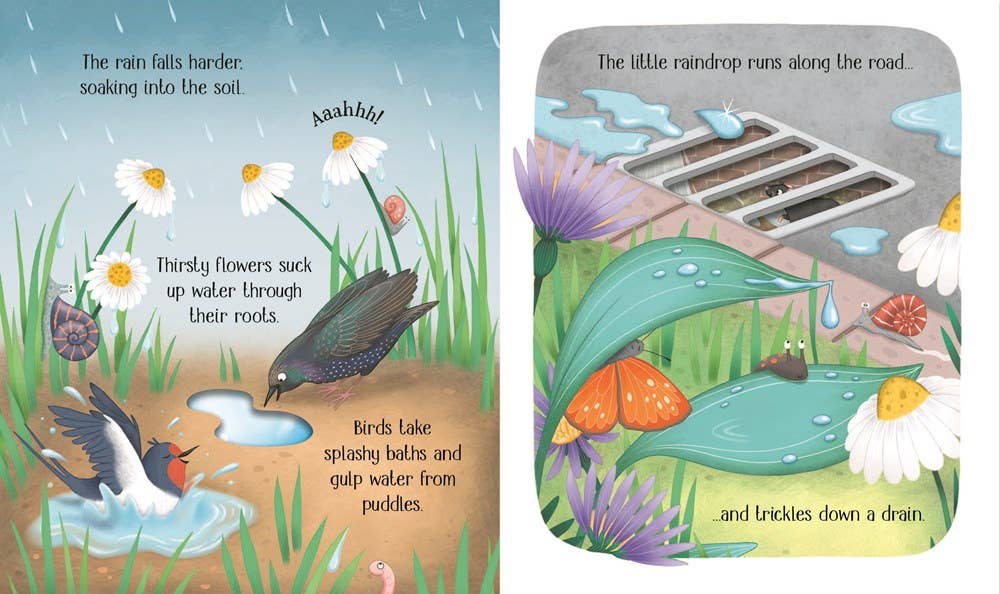 One Little Raindrop board book : Usborne