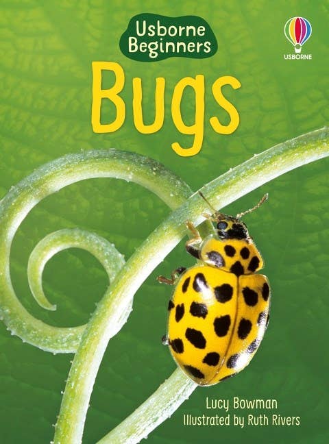 Bugs : Usborne Beginners