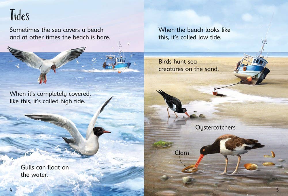 On the Beach : Usborne Beginners