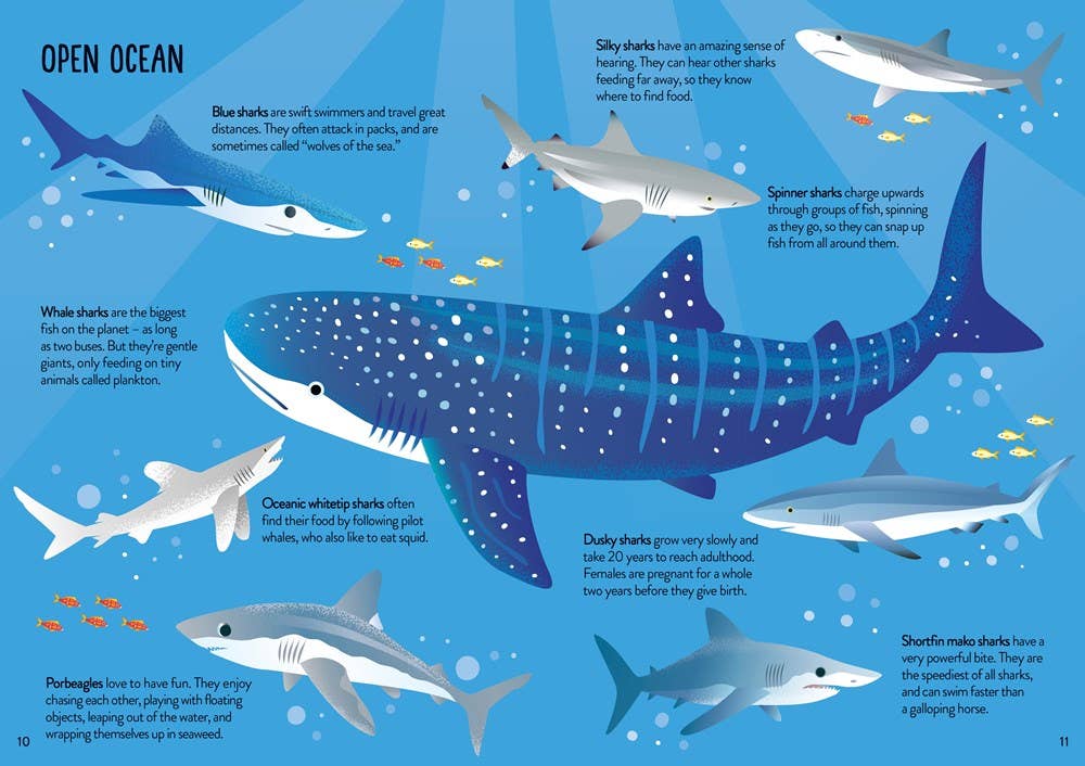 Usborne Book and Jigsaw: Sharks : Usborne