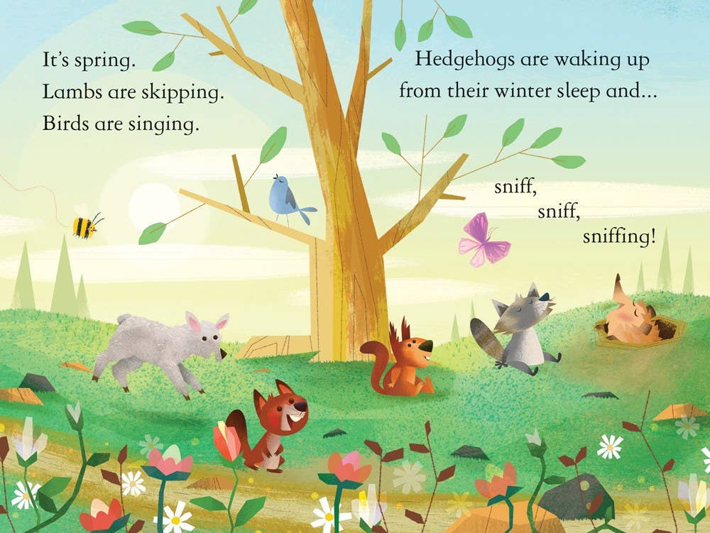 Hare and the Tortoise : Read with Usborne