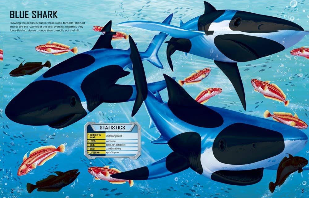 Build Your Own Sharks : Usborne