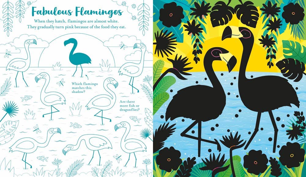 Usborne Scratch Activities Animals : Usborne