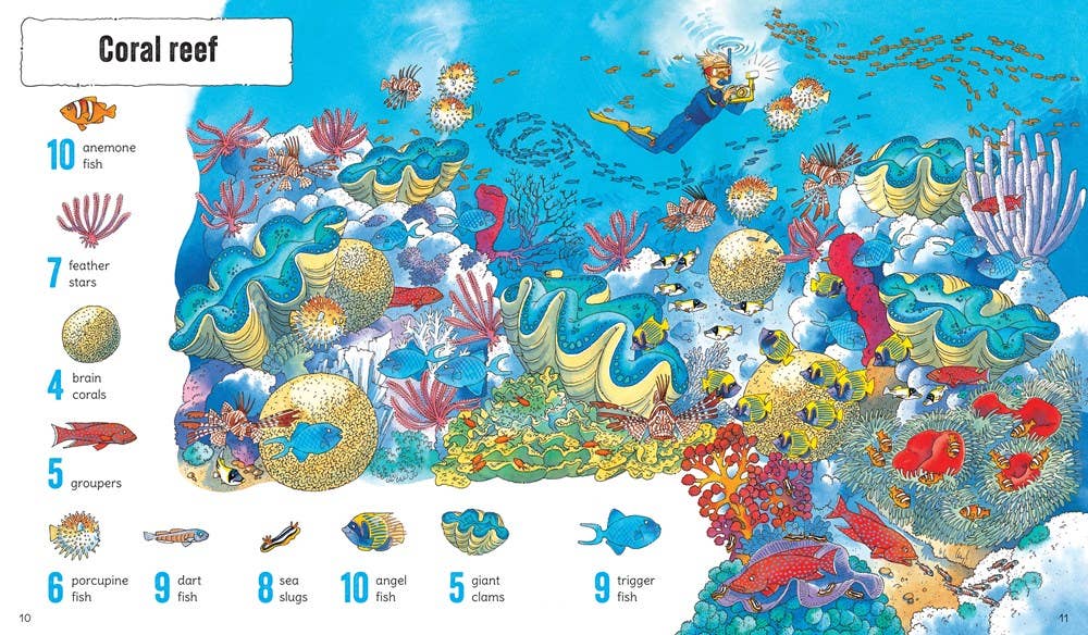 1001 Things To Spot In The Sea : Usborne