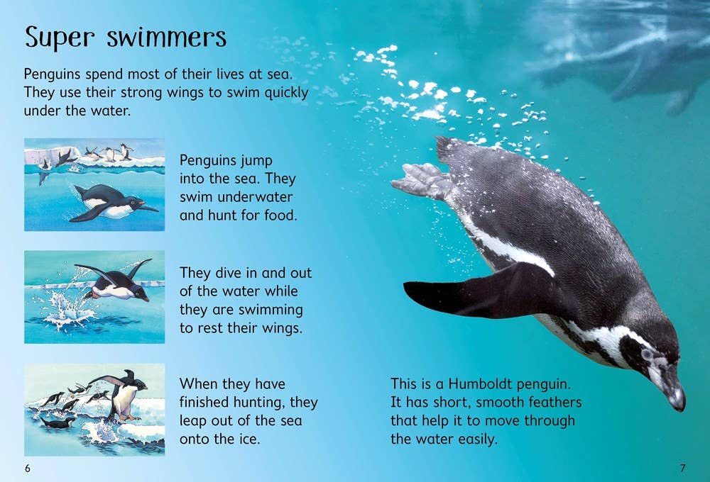 Penguins : Usborne