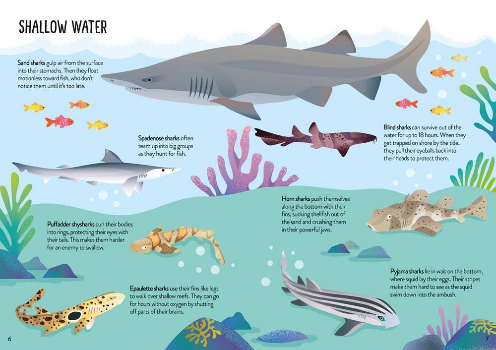 Usborne Book and Jigsaw: Sharks : Usborne