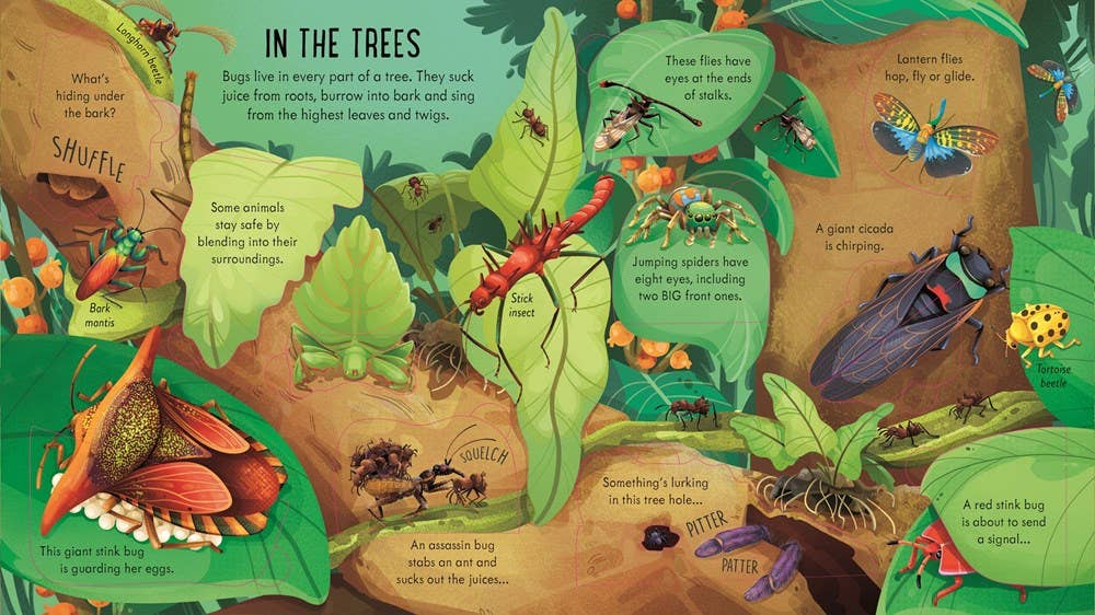 Look Inside Bug World : Usborne
