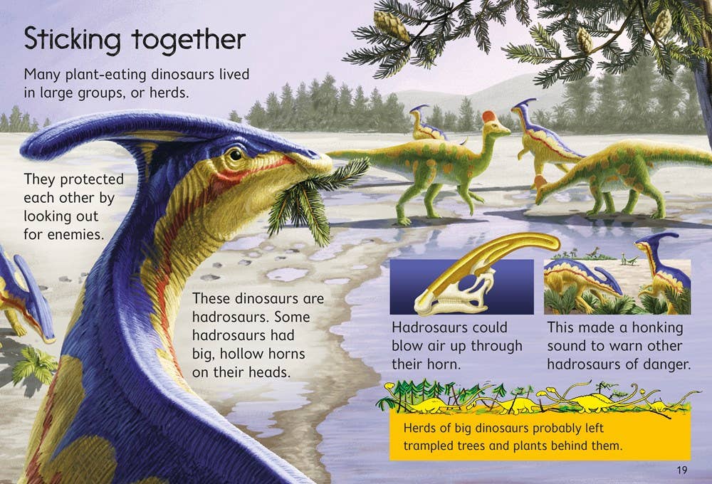 Dinosaurs : Usborne