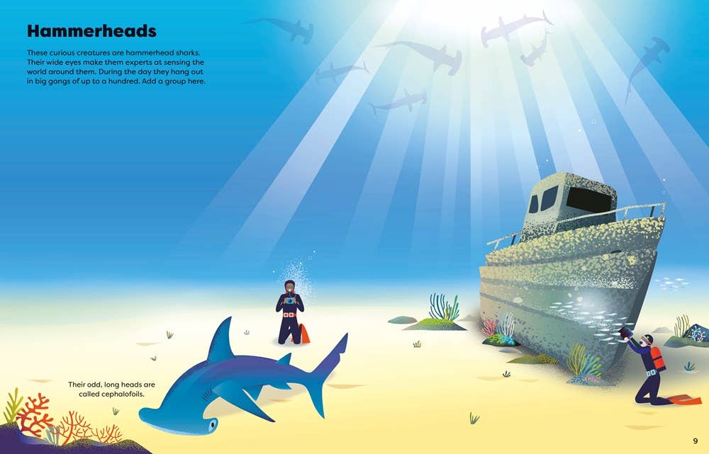 Big Sticker Book of Sharks : Usborne