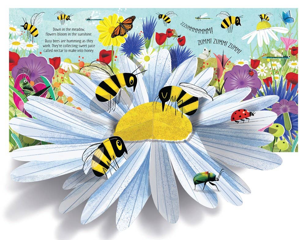 Pop-Up Nature : Usborne